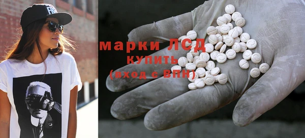 индика Кукмор