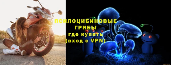 винт Куйбышев