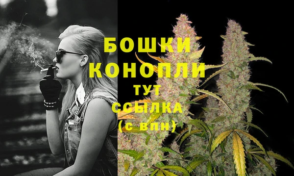индика Кукмор