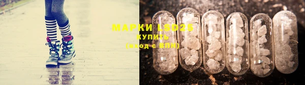 индика Кукмор