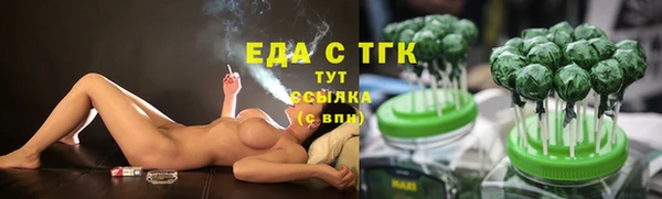 индика Кукмор