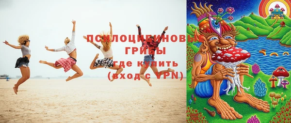 индика Кукмор
