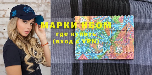 индика Кукмор