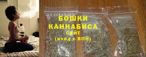 индика Кукмор