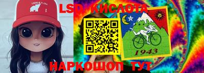 крисы Аргун