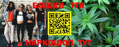 крисы Аргун