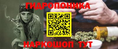крисы Аргун