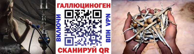 продажа наркотиков  Обнинск  Галлюциногенные грибы MAGIC MUSHROOMS 